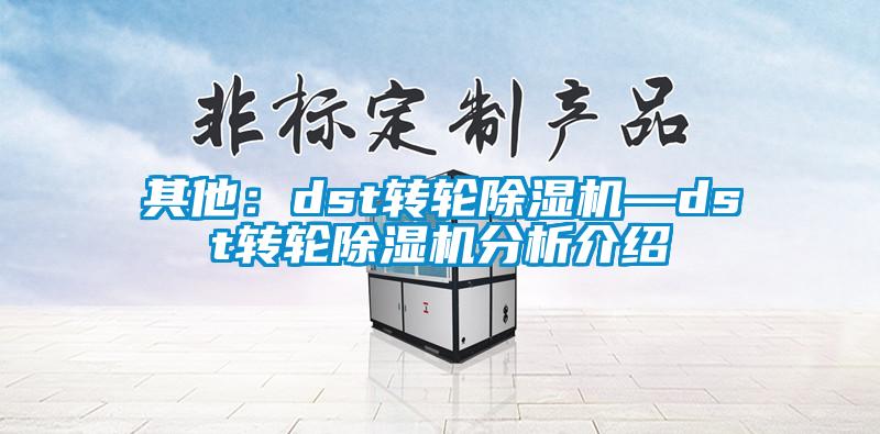 其他：dst轉(zhuǎn)輪除濕機—dst轉(zhuǎn)輪除濕機分析介紹