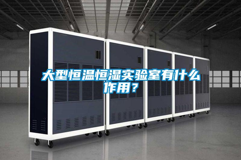 大型恒溫恒濕實(shí)驗室有什么作用？