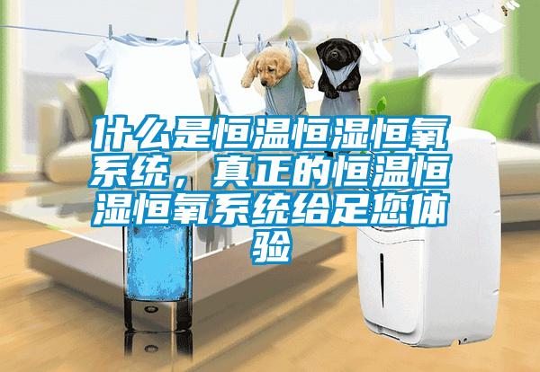 什么是恒溫恒濕恒氧系統(tǒng)，真正的恒溫恒濕恒氧系統(tǒng)給足您體驗