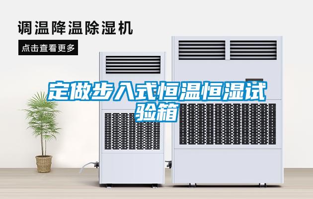 定做步入式恒溫恒濕試驗(yàn)箱