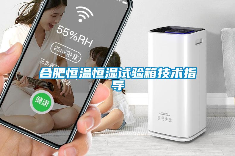 合肥恒溫恒濕試驗箱技術(shù)指導(dǎo)