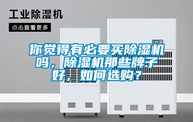 你覺得有必要買除濕機嗎，除濕機那些牌子好，如何選購？