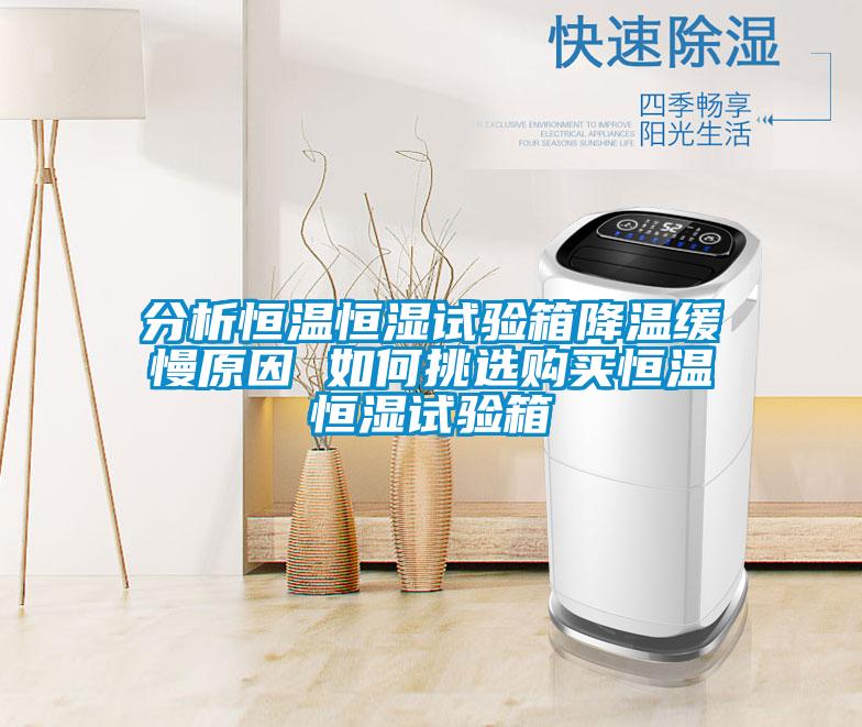 分析恒溫恒濕試驗(yàn)箱降溫緩慢原因 如何挑選購買恒溫恒濕試驗(yàn)箱