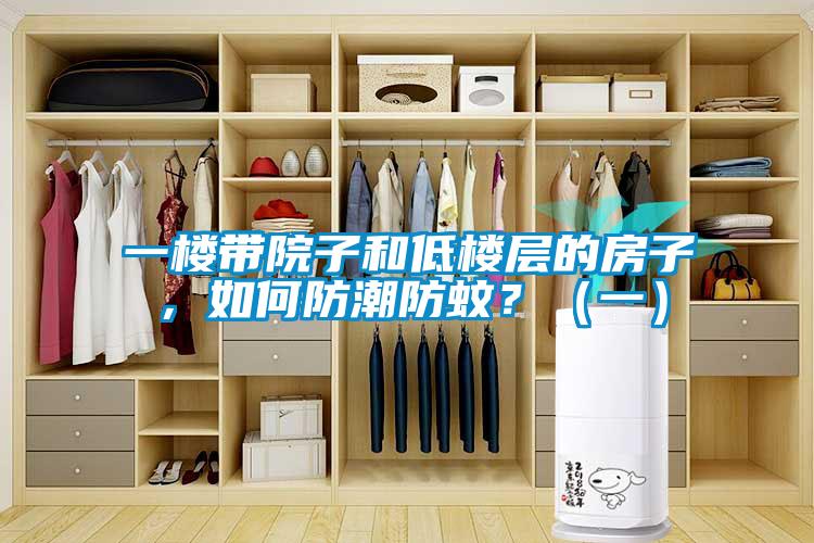 一樓帶院子和低樓層的房子，如何防潮防蚊？（一）