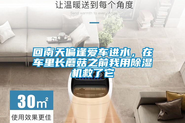 回南天偏逢愛車進(jìn)水，在車?yán)镩L(zhǎng)蘑菇之前我用除濕機(jī)救了它
