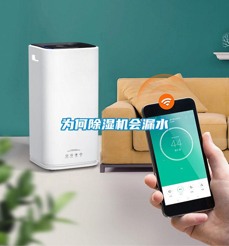 為何除濕機(jī)會(huì)漏水
