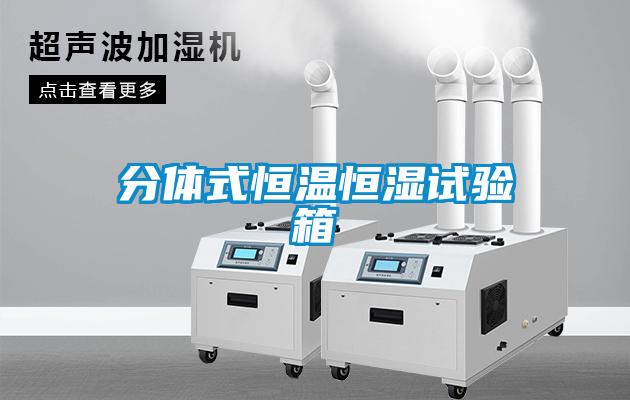 分體式恒溫恒濕試驗箱