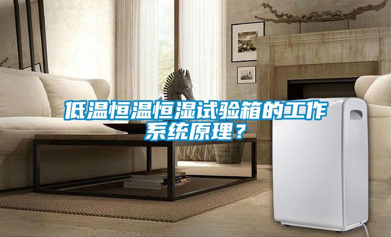 低溫恒溫恒濕試驗(yàn)箱的工作系統(tǒng)原理？