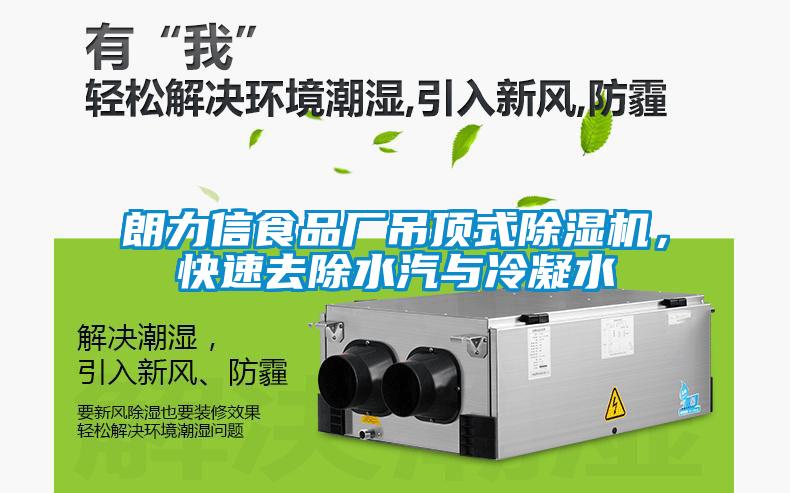 朗力信食品廠吊頂式除濕機，快速去除水汽與冷凝水