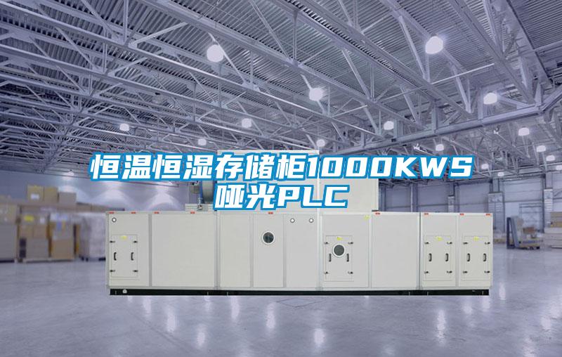 恒溫恒濕存儲(chǔ)柜1000KWS啞光PLC