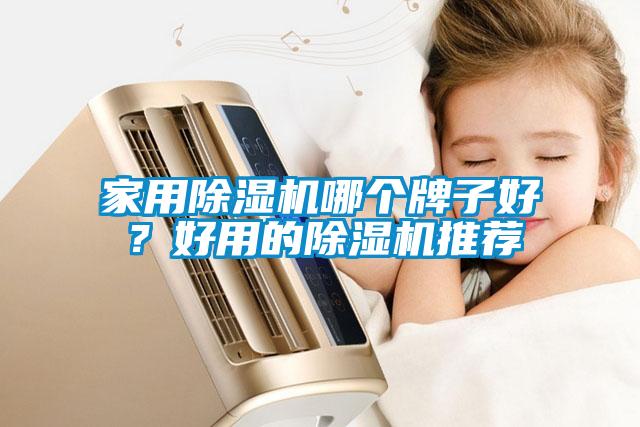 家用除濕機哪個牌子好？好用的除濕機推薦