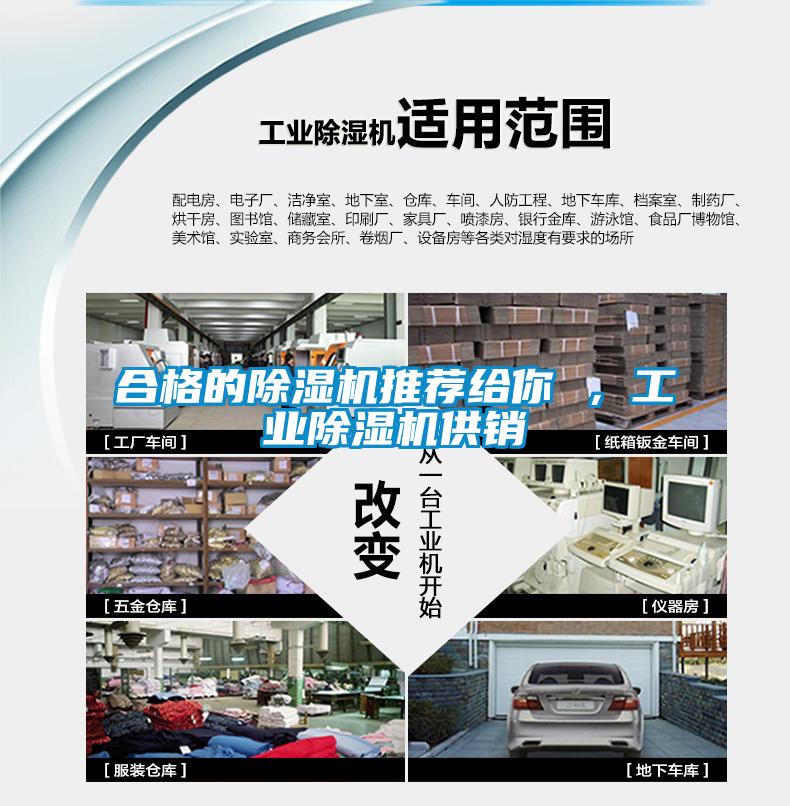 合格的除濕機(jī)推薦給你 ，工業(yè)除濕機(jī)供銷(xiāo)