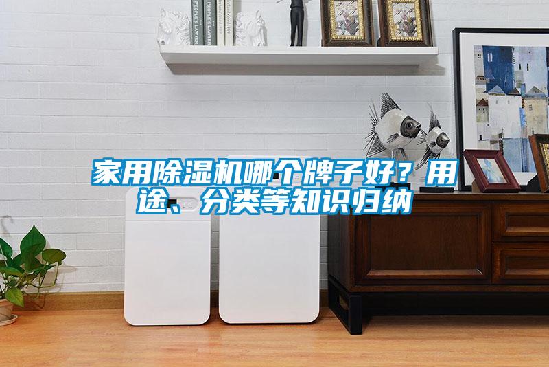 家用除濕機哪個牌子好？用途、分類等知識歸納