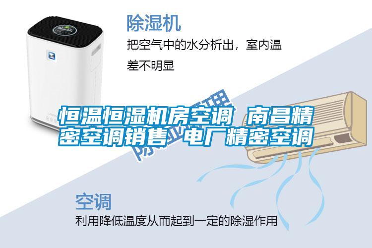 恒溫恒濕機(jī)房空調(diào) 南昌精密空調(diào)銷(xiāo)售 電廠精密空調(diào)