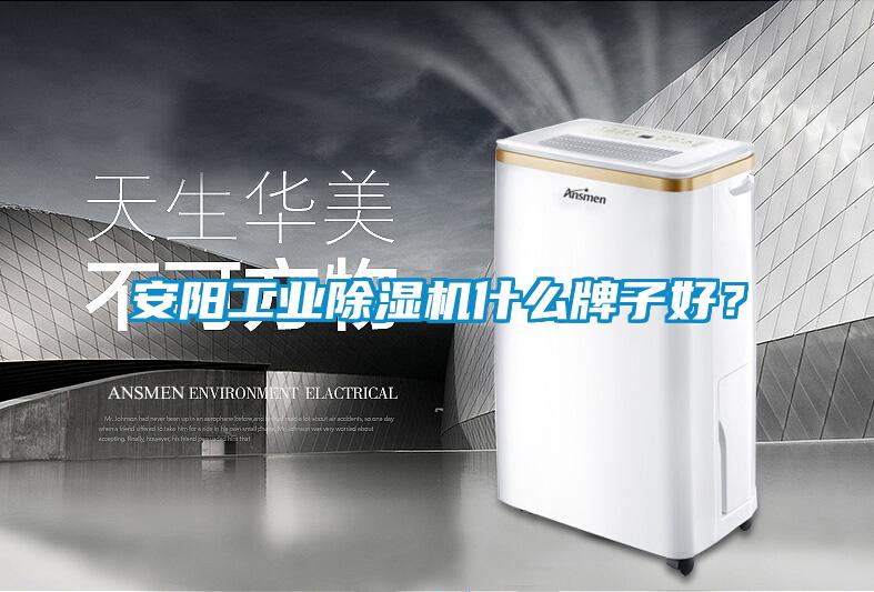 安陽工業除濕機什么牌子好？