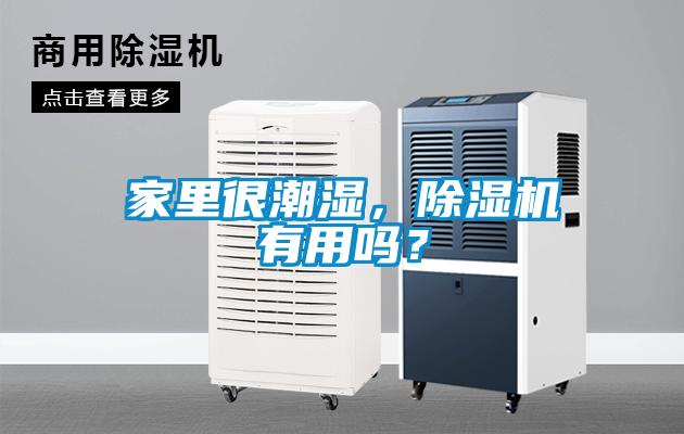 家里很潮濕，除濕機(jī)有用嗎？