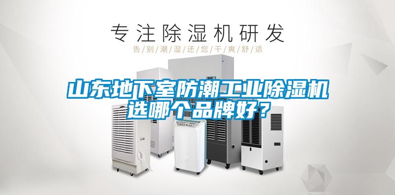 山東地下室防潮工業除濕機選哪個品牌好？