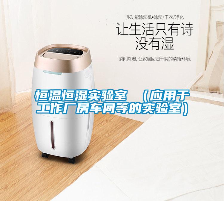 恒溫恒濕實(shí)驗(yàn)室 （應(yīng)用于工作廠房車間等的實(shí)驗(yàn)室）