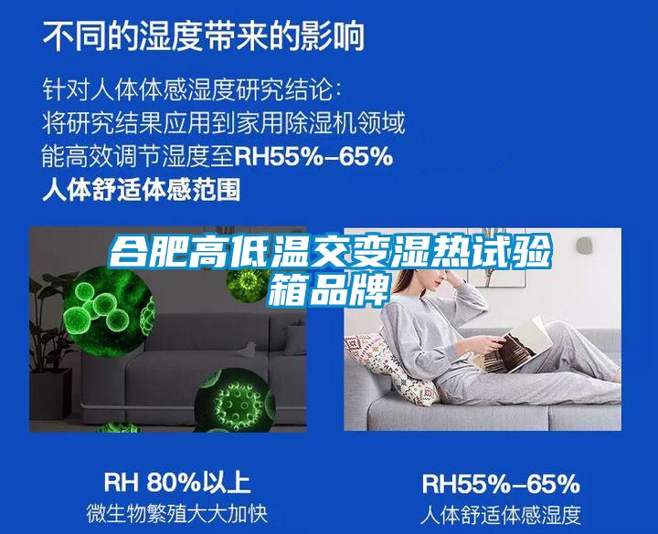 合肥高低溫交變濕熱試驗箱品牌