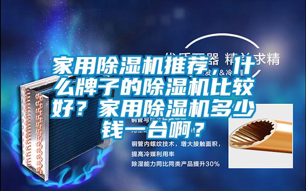 家用除濕機推薦，什么牌子的除濕機比較好？家用除濕機多少錢一臺??？