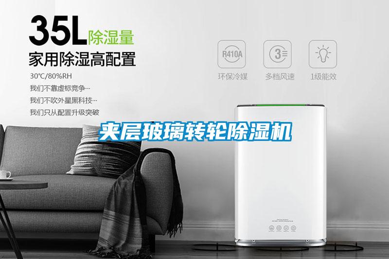 夾層玻璃轉(zhuǎn)輪除濕機