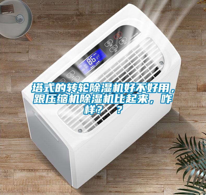 塔式的轉(zhuǎn)輪除濕機好不好用，跟壓縮機除濕機比起來，咋樣？ ？