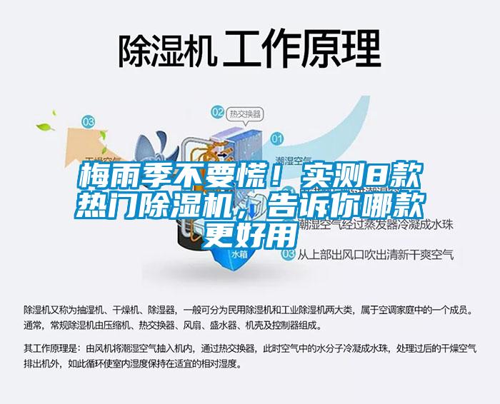 梅雨季不要慌！實測8款熱門除濕機，告訴你哪款更好用