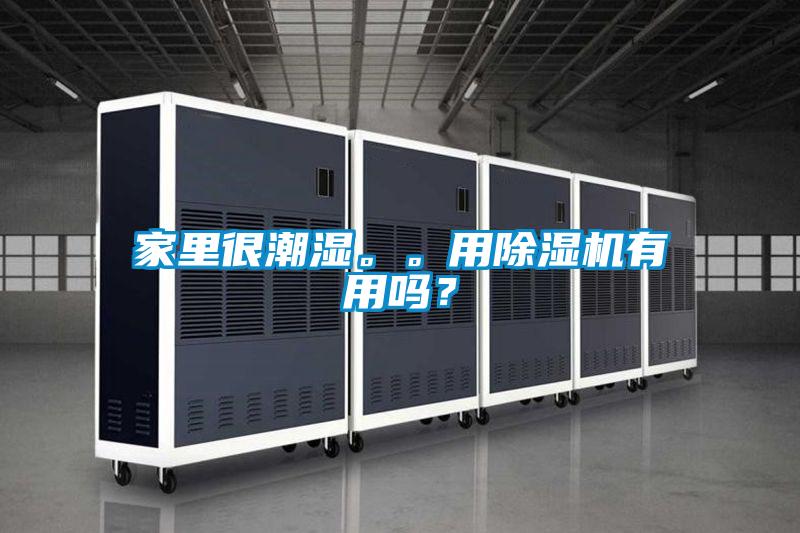 家里很潮濕。。用除濕機有用嗎？