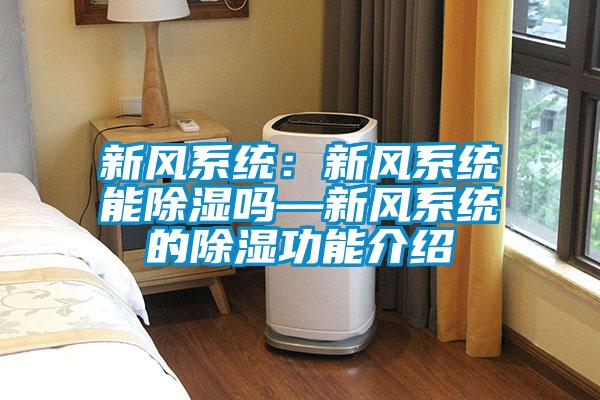新風系統：新風系統能除濕嗎—新風系統的除濕功能介紹