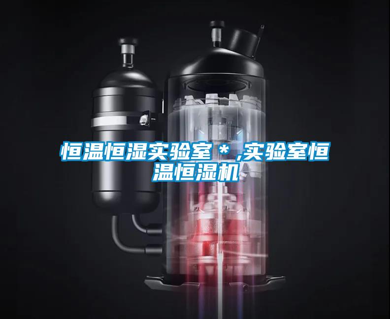 恒溫恒濕實(shí)驗(yàn)室＊,實(shí)驗(yàn)室恒溫恒濕機(jī)