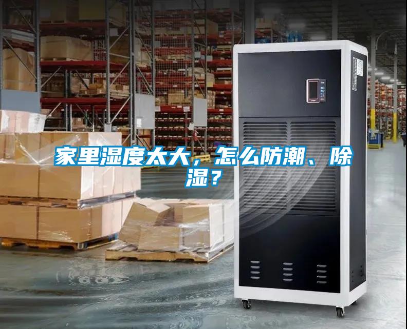 家里濕度太大，怎么防潮、除濕？