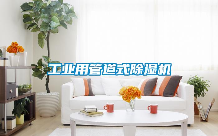 工業(yè)用管道式除濕機