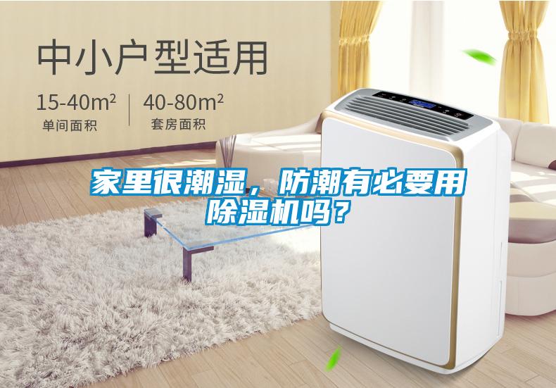 家里很潮濕，防潮有必要用除濕機嗎？