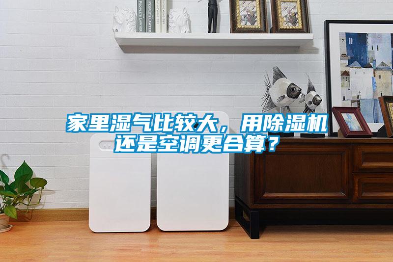 家里濕氣比較大，用除濕機(jī)還是空調(diào)更合算？