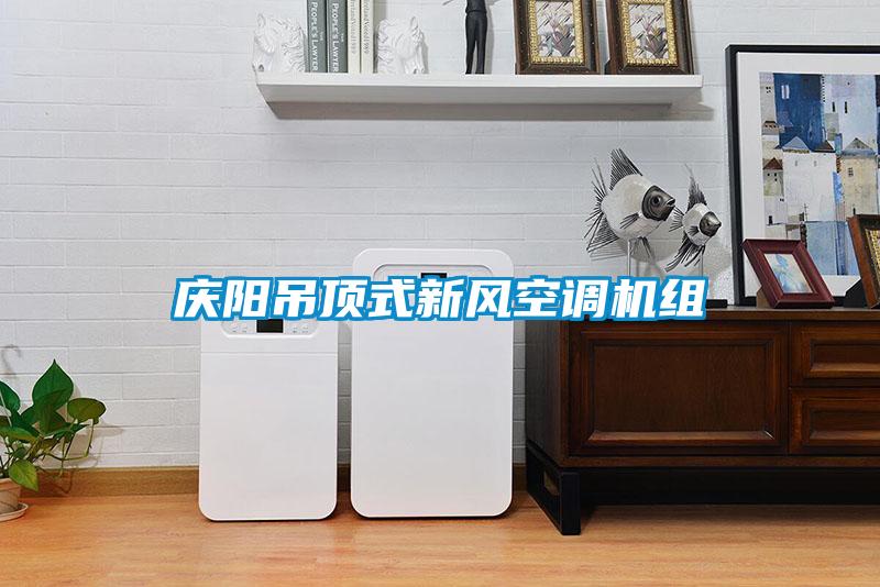 慶陽吊頂式新風(fēng)空調(diào)機組
