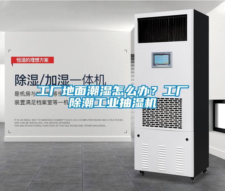 工廠地面潮濕怎么辦？工廠除潮工業抽濕機