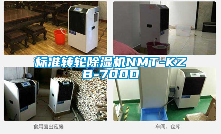 標(biāo)準(zhǔn)轉(zhuǎn)輪除濕機(jī)NMT-KZB-700D