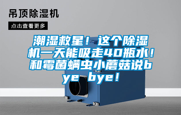 潮濕救星！這個(gè)除濕機(jī)一天能吸走40瓶水！和霉菌螨蟲小蘑菇說(shuō)bye bye！