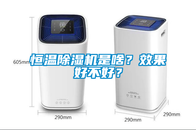 恒溫除濕機是啥？效果好不好？