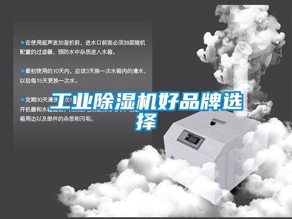 工業(yè)除濕機(jī)好品牌選擇
