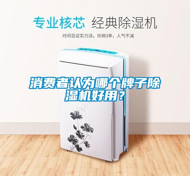 消費者認為哪個牌子除濕機好用？