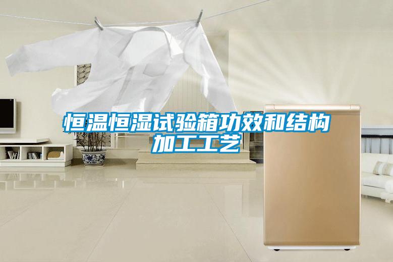 恒溫恒濕試驗箱功效和結(jié)構(gòu)加工工藝