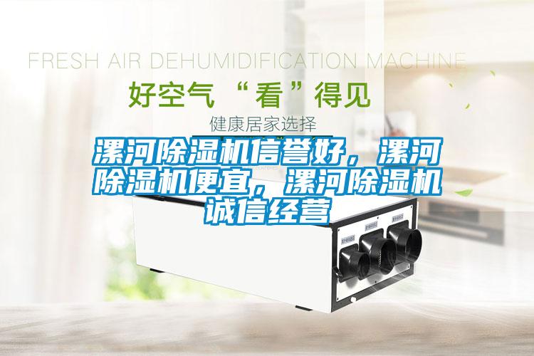 漯河除濕機信譽好，漯河除濕機便宜，漯河除濕機誠信經營