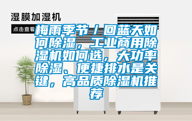 梅雨季節／回藍天如何除濕，工業商用除濕機如何選，大功率除濕、便捷排水是關鍵，高品質除濕機推薦