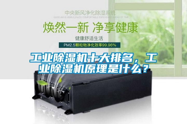 工業(yè)除濕機十大排名，工業(yè)除濕機原理是什么？