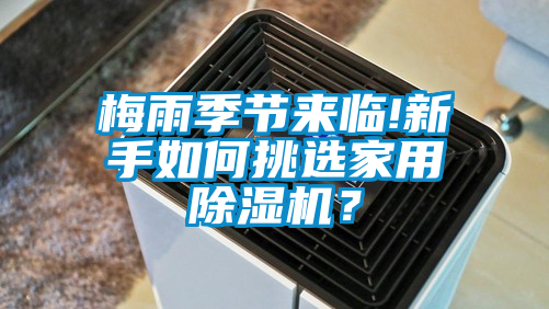 梅雨季節(jié)來臨!新手如何挑選家用除濕機？