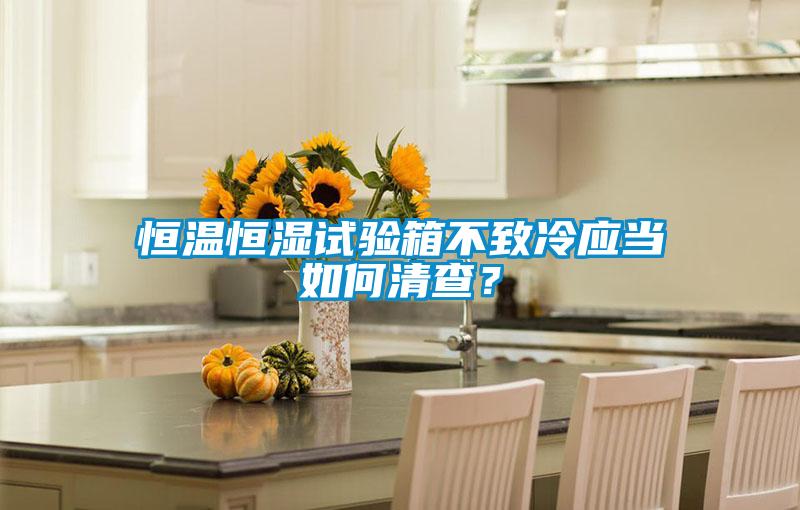 恒溫恒濕試驗箱不致冷應當如何清查？