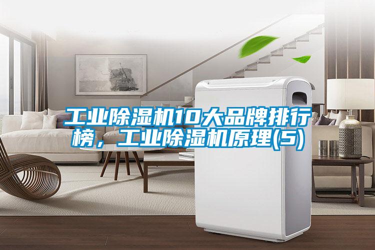 工業除濕機10大品牌排行榜，工業除濕機原理(5)