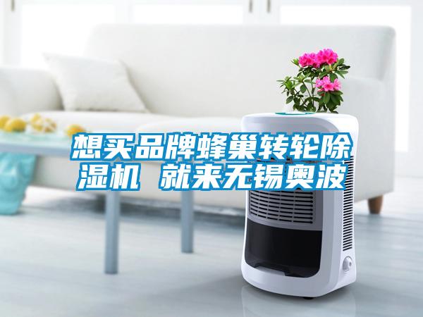 想買品牌蜂巢轉(zhuǎn)輪除濕機 就來無錫奧波