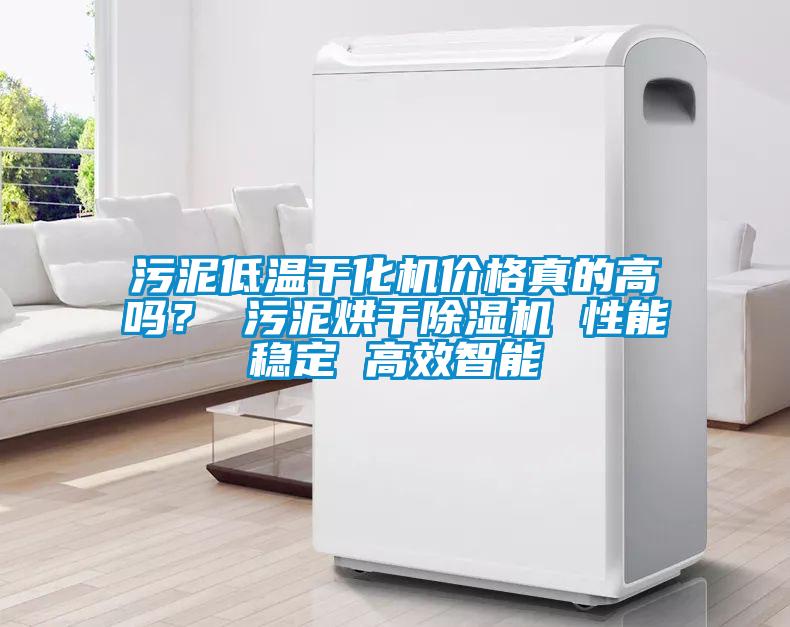 污泥低溫干化機(jī)價(jià)格真的高嗎？ 污泥烘干除濕機(jī) 性能穩(wěn)定 高效智能